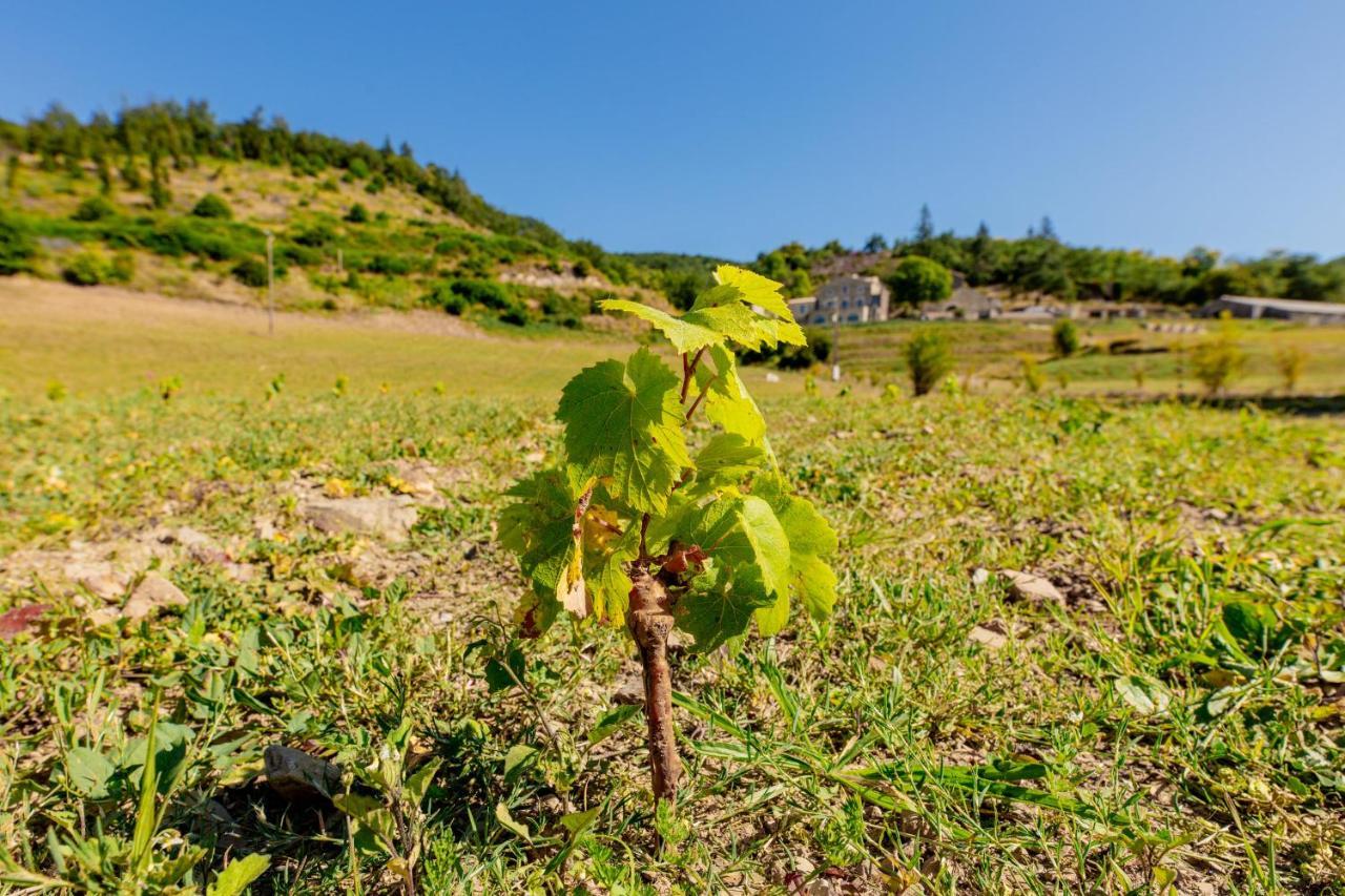 Rieussec Domaine De Merlac מראה חיצוני תמונה