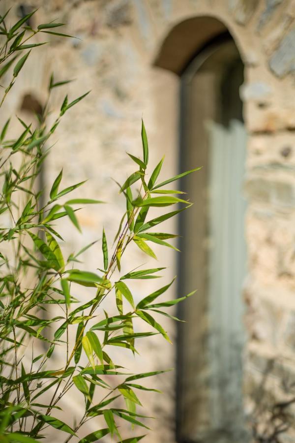 Rieussec Domaine De Merlac מראה חיצוני תמונה